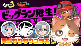 声のでかさはハイスコア確定！！コラボでいくスプラトゥーン3ビッグランinゴンズイ地区【スプラトゥーン3】