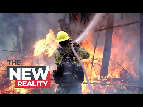 Video: Generell informasjon om brannskap
