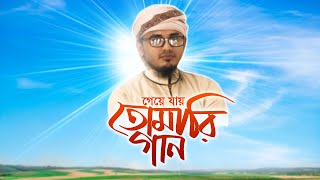 Tomari Gan | আল্লাহ পরিচয় দানে বাংলা গজল | Abdul Hamid Hasib | New Bangla Gojol 2020 |  Holy tv