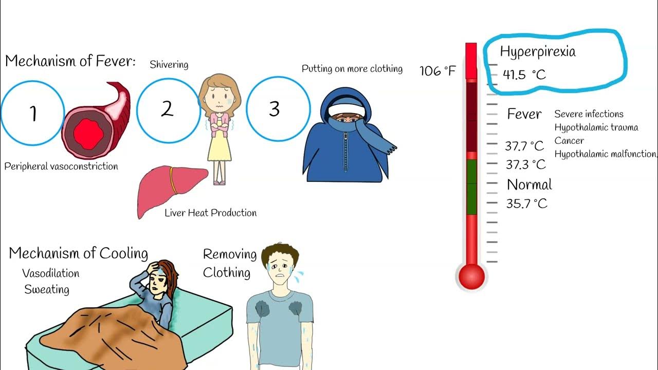 Is 98.2 Considered A Fever Temperature