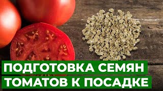Отличный способ подготовки семян к посадке на рассаду ✅🍅 | Замачивание семян томатов