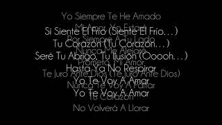 Yo te voy amar - NSYNC, Letra