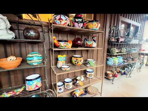 Wildseed Farms Texas Tour | Best Wildflower Spot Near San Antonio