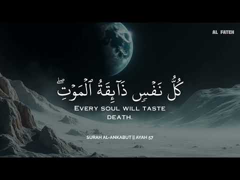 ساعة كاملة تلاوة القران بصوت عبادي حسام للدراسةوالتركيز راحة نفسية Abbadi Houssem