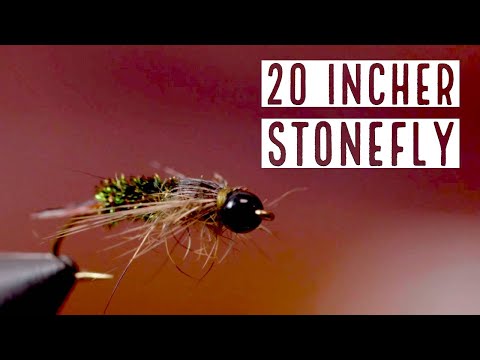20 Incher Stonefly