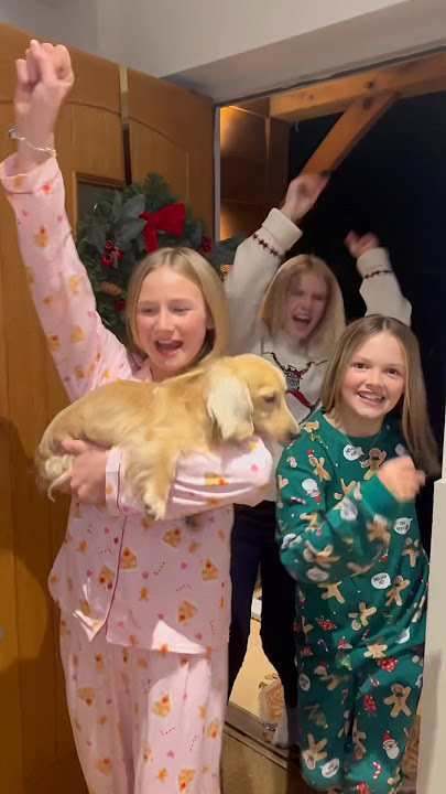 Were in! 🤣🎄