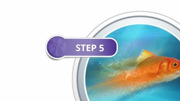 NLP Training for Self Confidence