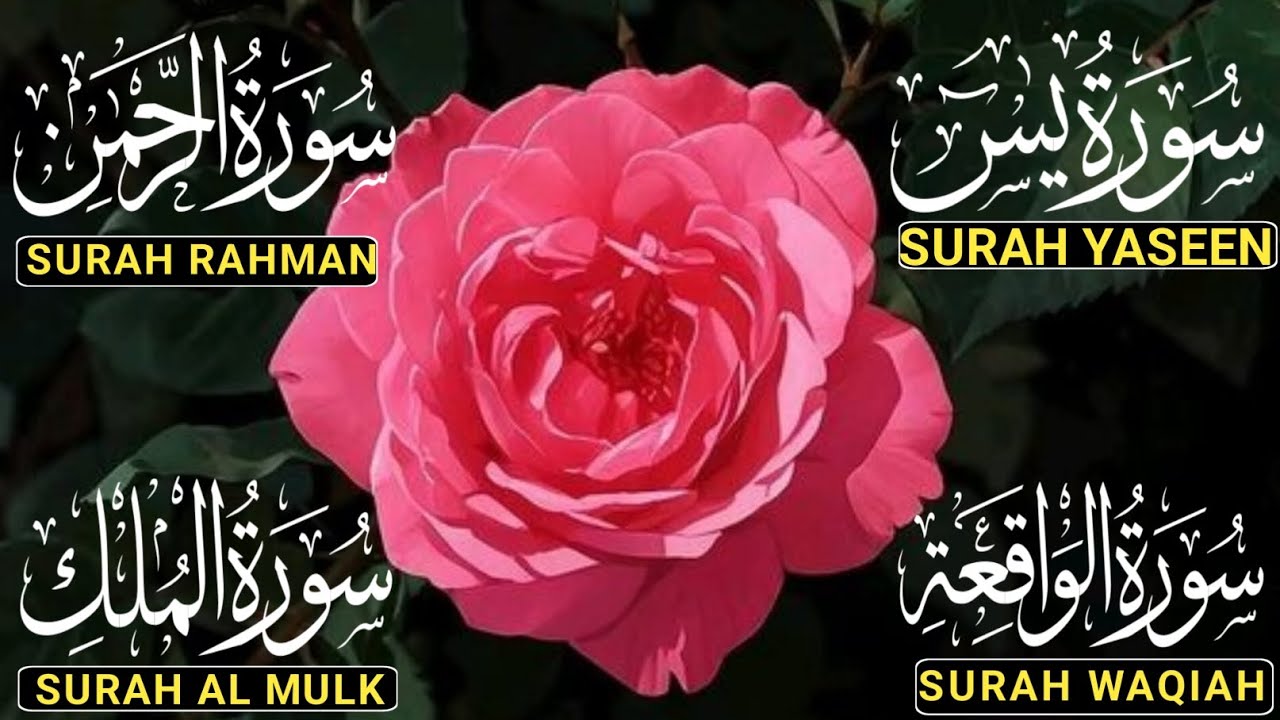 Surah Yaseen ❤ Surah Rahman ❤ Surah Al Waqia ❤ Surah Al mulk Soothing Quran recitation | Ep213