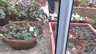 Botanical gardens 05/01/2015 part 4 (HD)