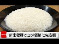 新米収穫増で向こう3カ月のコメ価格低下の見通し