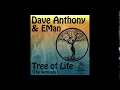 Dave anthony feat eman  tree of life  atjazz remix kemet soul records