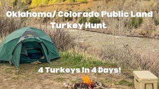 Oklahoma/ Colorado Public Land Turkey Trip