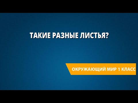 Такие разные листья?