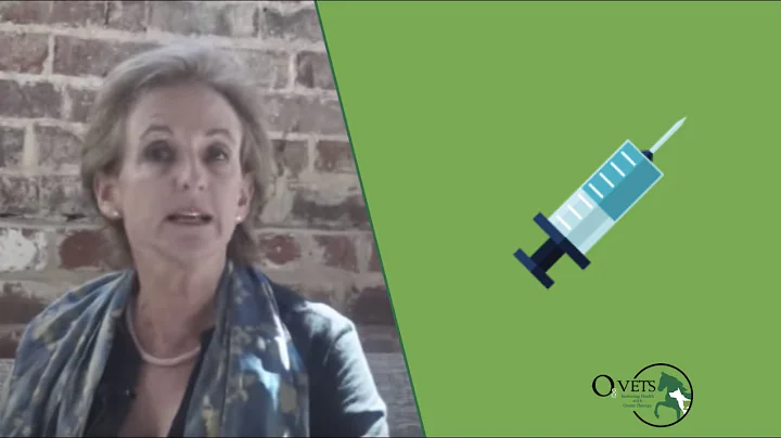 Judith Shoemaker  - Why Vets Should Use Ozone