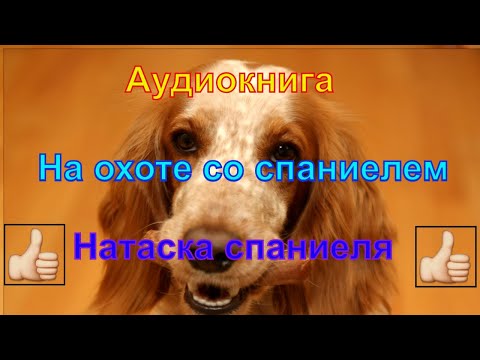 "На охоте со спаниелем" Валов Н.А. "Натаска спаниеля"