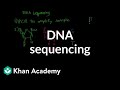 Decoding The Steps Of DNA Sequencing And Its Key Components