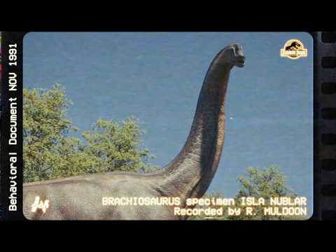 Muldoon's Log - Supplementary Footage A