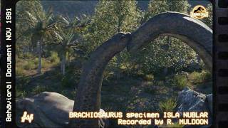 Muldoon's Log - Supplementary Footage A