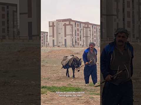 Hashtgerd کرج هشتگرد گردی ییلاق به وقت چرای گوسفندان تهرانگردی با من