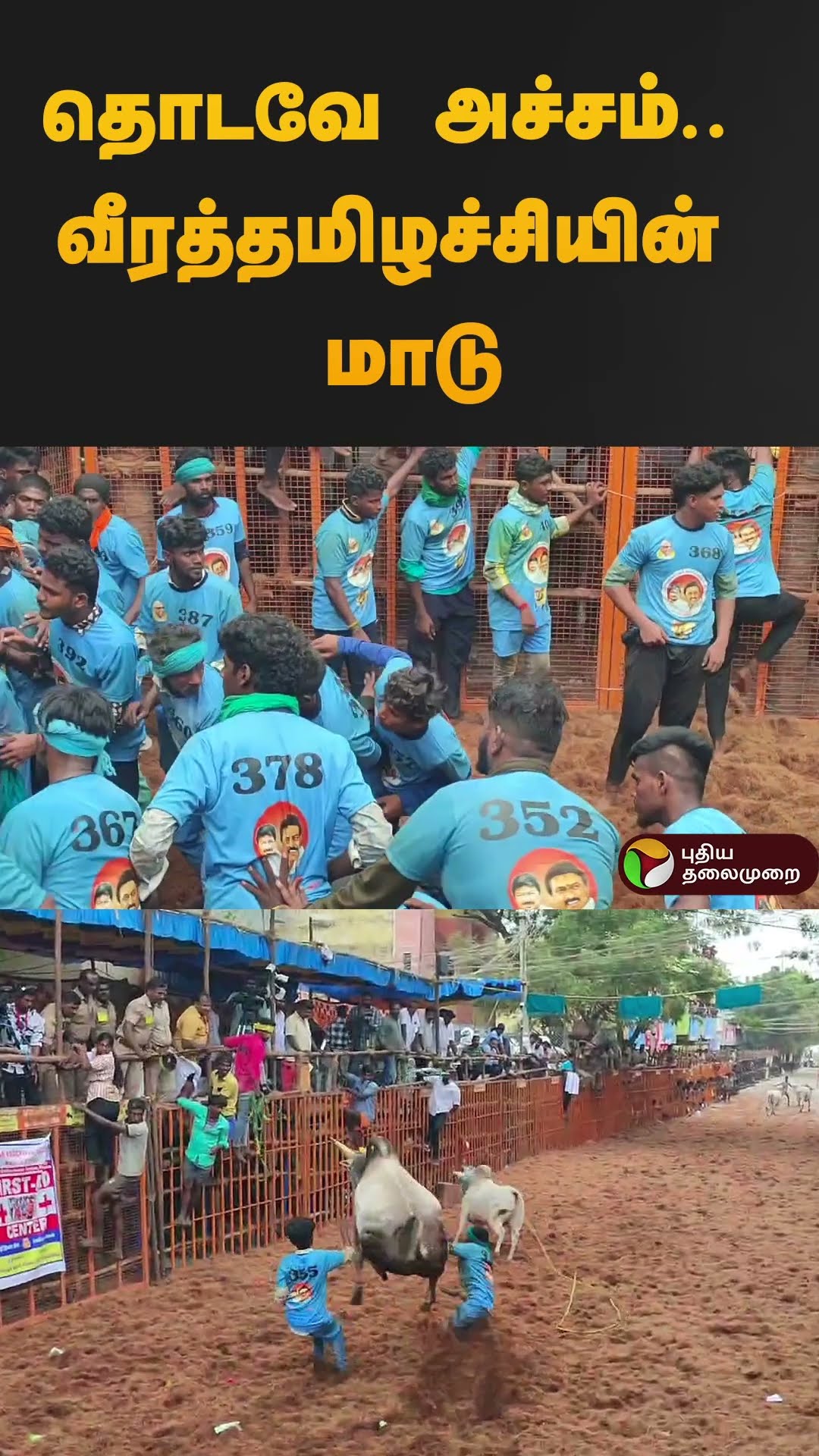 தொடவே அச்சம்.. வீரத்தமிழச்சியின் மாடு | #jallikattu2025 | #madurai | #shorts