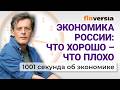 Экономика России: что хорошо &ndash; что плохо. Экономика за 1001 секунду