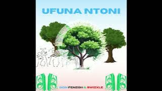 @donfenzoh & Swizxle - Ufuna Ntoni (Official Audio)