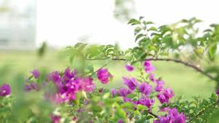 Perang Pantun Islami || Baper Positif