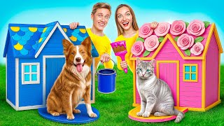Una Casa De Color Desafío Con Perro Y Gato Multi Do Smile