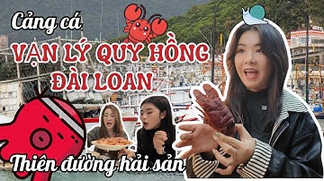 Cảng cá Vạn Lý Quy Hồng | Thiên Đường Hải Sản Đài Loan Có Gì?