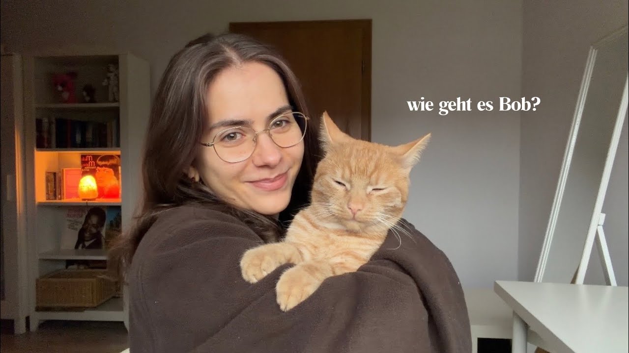 ASMR XXL Q&A 🤭 ich beantworte eure Fragen 