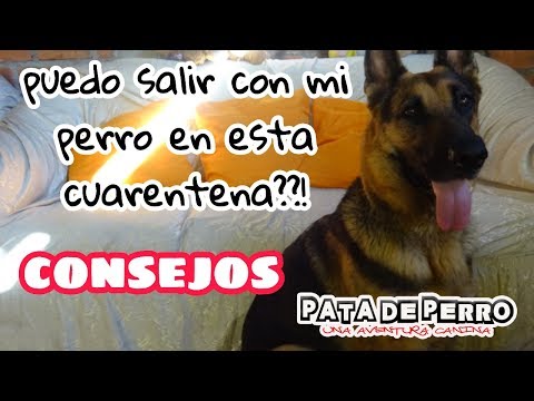 CONSEJOS PARA PREVENIR QUE EL COVID19 INGRESE A NUESTRA CASA