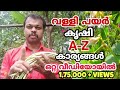 വള്ളി പയര്‍ കൃഷി രീതിയും പരിചരണവും A-Z | Payar Krishi Tips | How to grow long beans