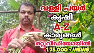 വള്ളി പയര് കൃഷി രീതിയും പരിചരണവും A-Z | Payar Krishi Tips | How to grow long beans