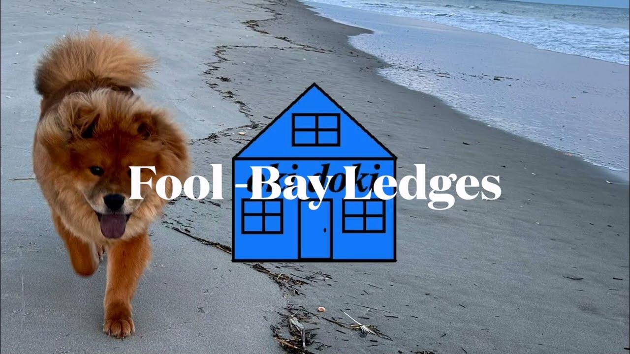 Fool - Bay Ledges | Karaoke Version Fool - Bay Ledges | Karaoke Version