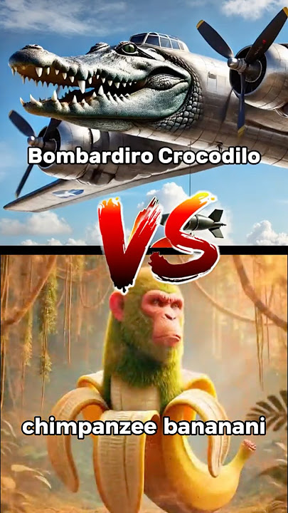 Bombardiro Crocodilo 🐊 VS Chimpanzee Bananini 🐵🍌 Itanlian  Characters .#character #fight #aniamls