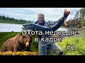 Охота медведя в кадре/Нас сопровождает медведь - 4 часа/Рыба ловится на каждом забросе-это плохо/ #2