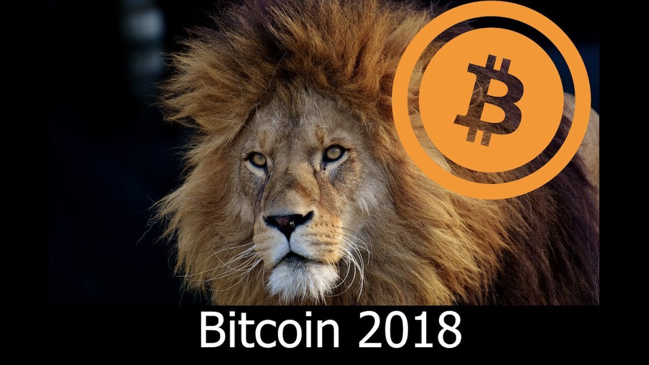 A look at the year of bitcoin