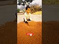 wow 😲 amazing video #shorts #shortsfeed
