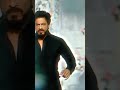 Kali Fight Scene In Dilwale Full Screen Status 
