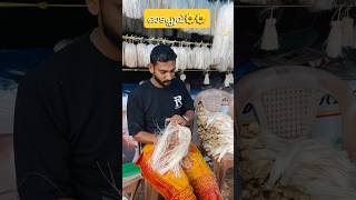 KOTTIYOOR #temple #temples #templevlog -#templedarshan #utsav #templevisit #templesofindia