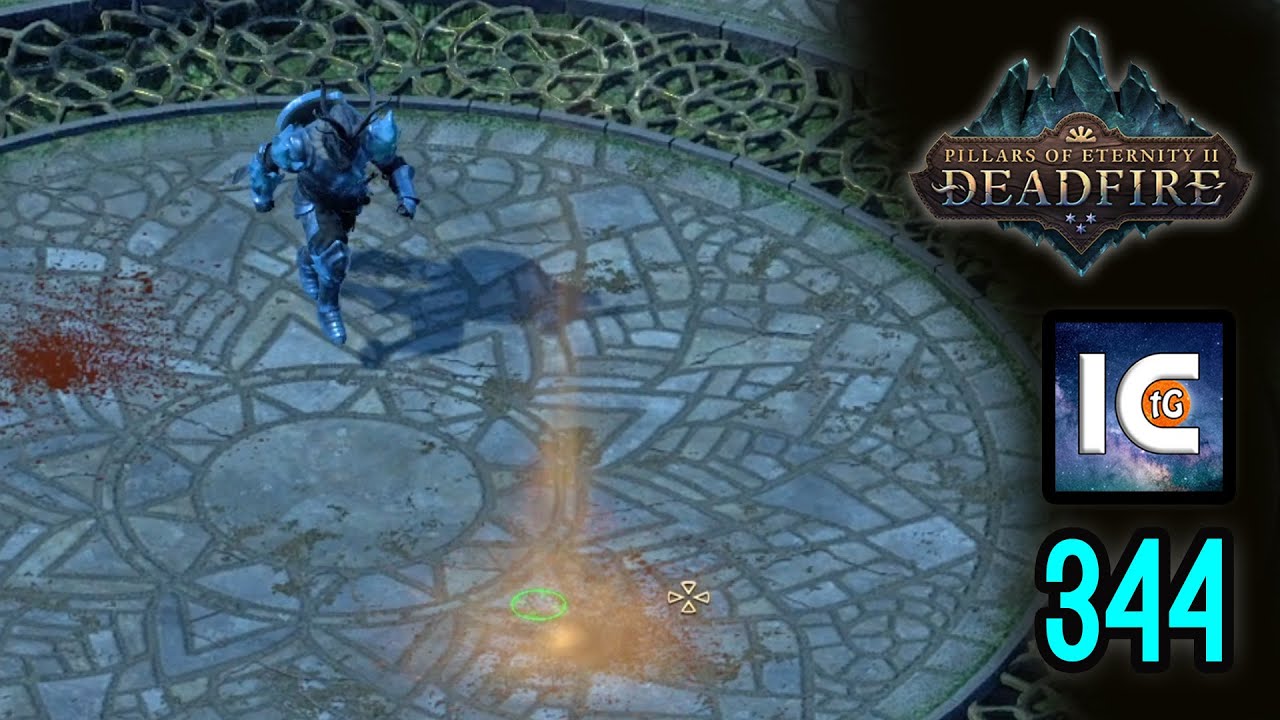 IN DEFENSE OF THE WRITTEN WORD Pillars of Eternity 2 Deadfire Turn-Based PotD Roleplay 344