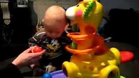 Tuur ontdekt de giraf van tantie (3 feb 2008)