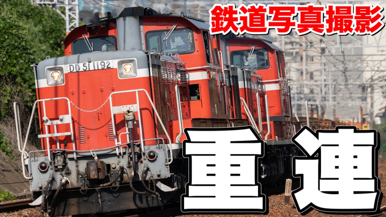 Railway Photo] A magnificent double-headed DD51! Photographing a