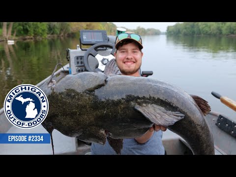 2334 August 24/2023 – This week we are chasing monster catfish on the Grand River!  We also stop in at the annual trapping convention, and spend some time with the folks from the Michigan United Conservation Clubs.