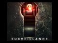 Surveillance - Homeland Security