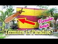 Termites are a BIG DEAL in the Florida Keys!