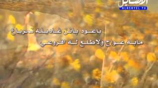 شيلة نون من المنشا كلمات عبدالعزيز ن طويق اداء ناصر السيحاني - قناة الاصايل alasayel tv