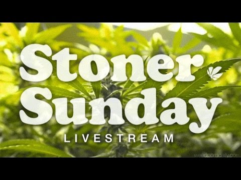 WPD LIVE - Stoner Sunday 1/24/2016