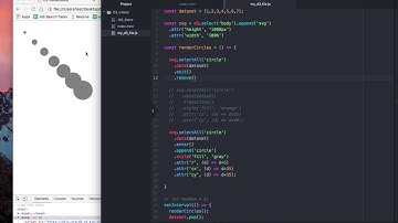 Intro to D3.js Tutorial Part 8: Exit