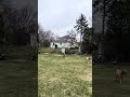 2026 3 22 Boys Play With Penny Goldendoodle Dog 